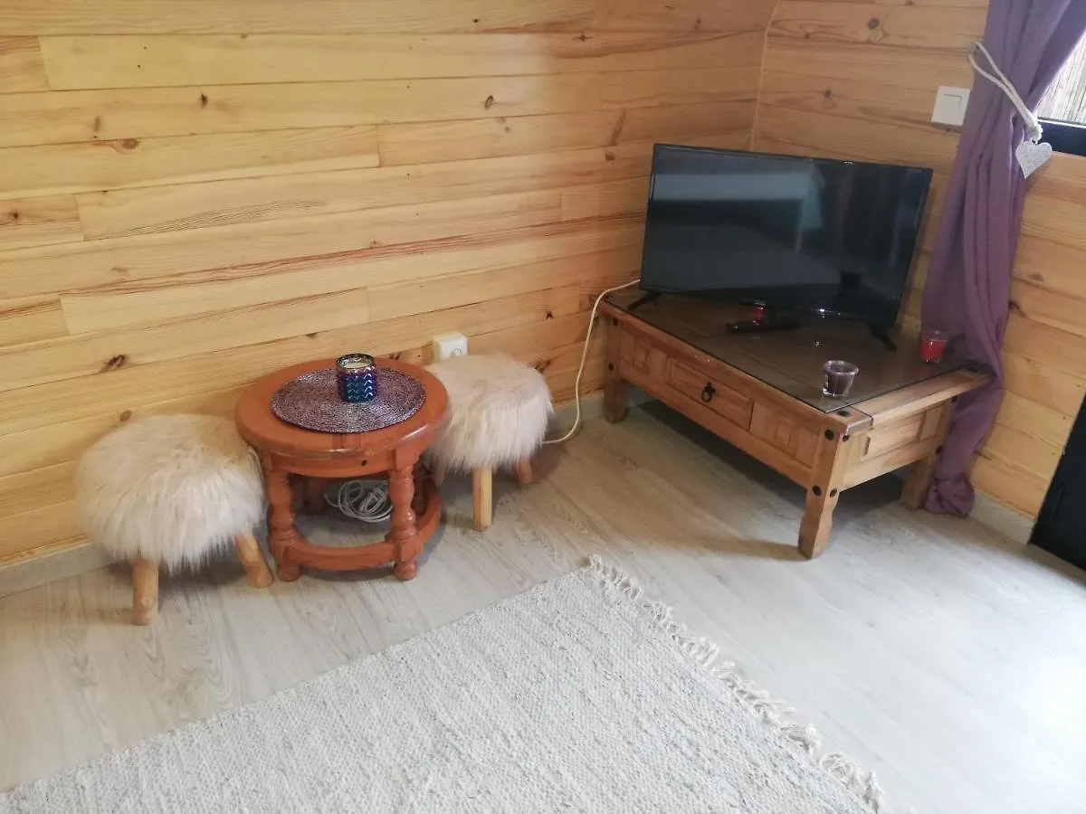 ゲストハウス ホテル Casita De Verde サンタクルスデテネリフェ スペイン